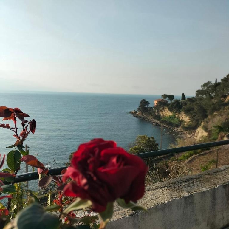 Appartamento un mare di fiori - Appartamento con Terrazza - 24