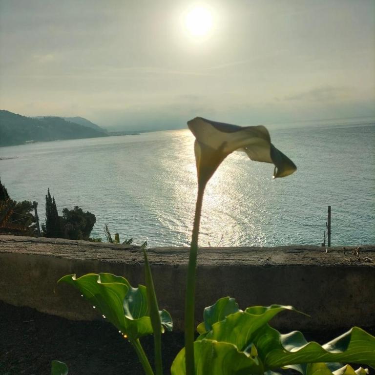 Appartamento un mare di fiori - Appartamento con Terrazza - 25