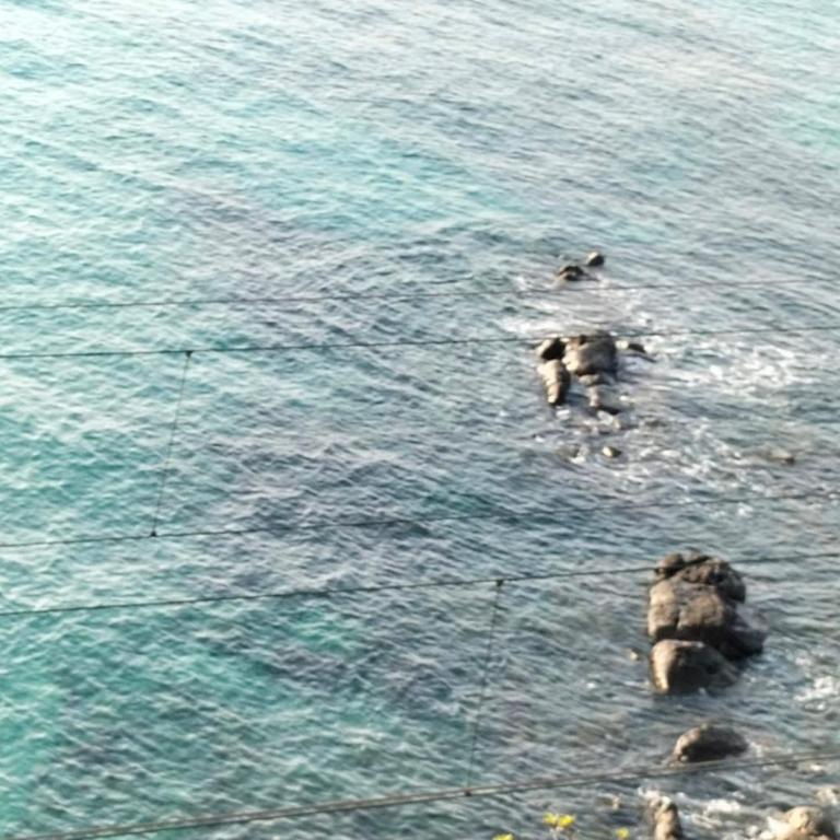 Appartamento un mare di fiori - Appartamento con Terrazza - 26