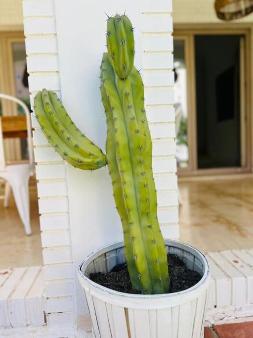 Villa de lujo en playamar - Villa de 3 dormitorios - 18