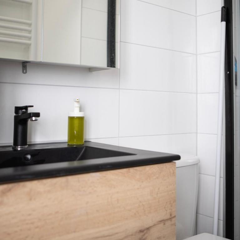 Le Mulhousien/ Parking gratuit / WIFI / Lave linge/ Tudors Locations - Apartamento de 1 dormitorio - 16
