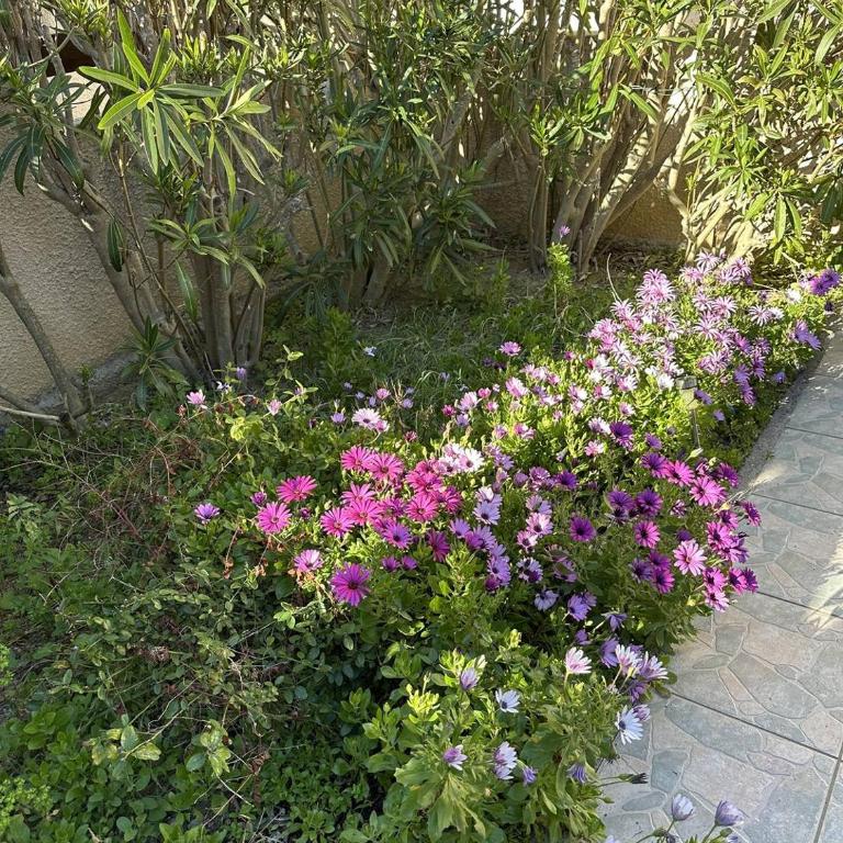 HOLIDAYLAND 437 VILLA T2 MEZZANINE 6 couchages NARBONNE PLAGE - Maison 1 Chambre - 18