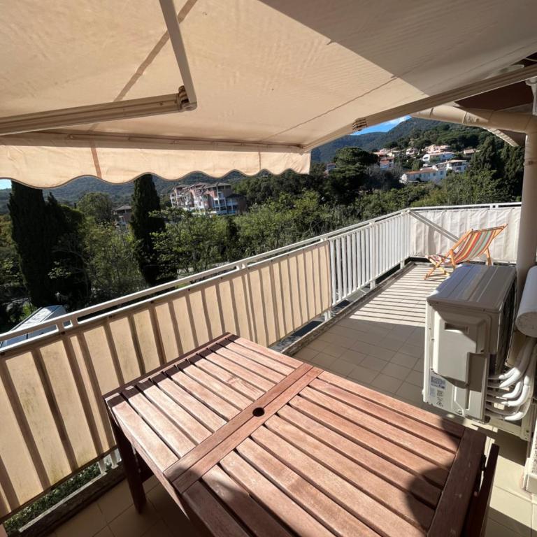 Appartement Clim Terrasse - Apartment mit 3 Schlafzimmern mit Parkblick - 11