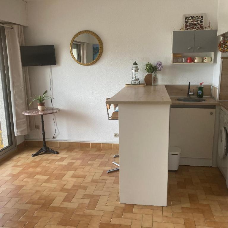 BLEU SOLEIL - STUDIO 23 M2 - BALCON - PORT et PLAGES - Monolocale - 26