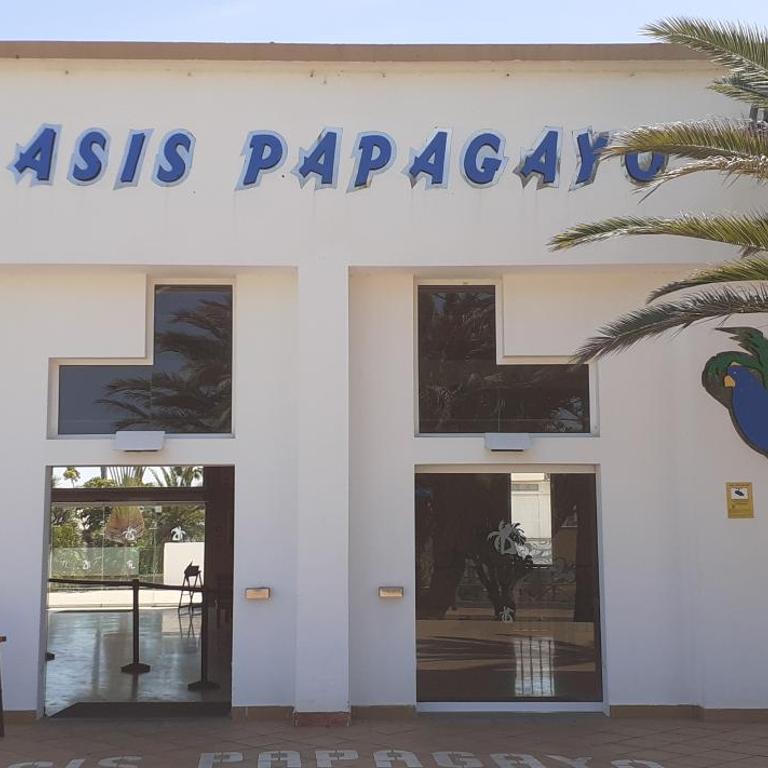 Oasis Waves House Papagayo - Apartamento de 1 dormitorio - 26