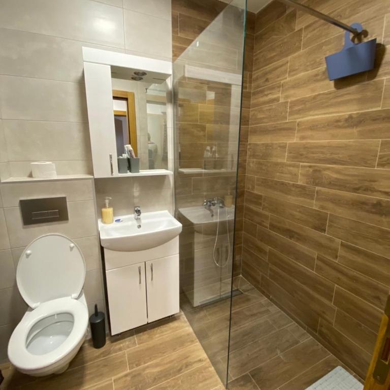 Apartman Sky view - Sokobanja - Apartman sa 1 Spavaćom Sobom - 5