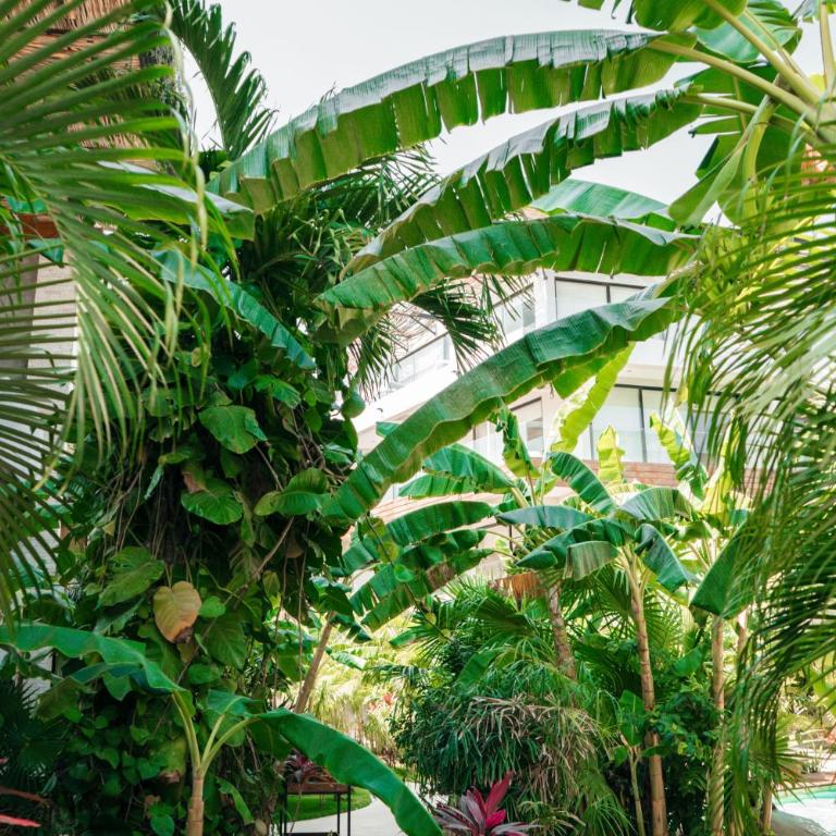Kinah Retreat - Exclusive Boho Tropical Escape - Apartamento de 1 dormitorio - 23