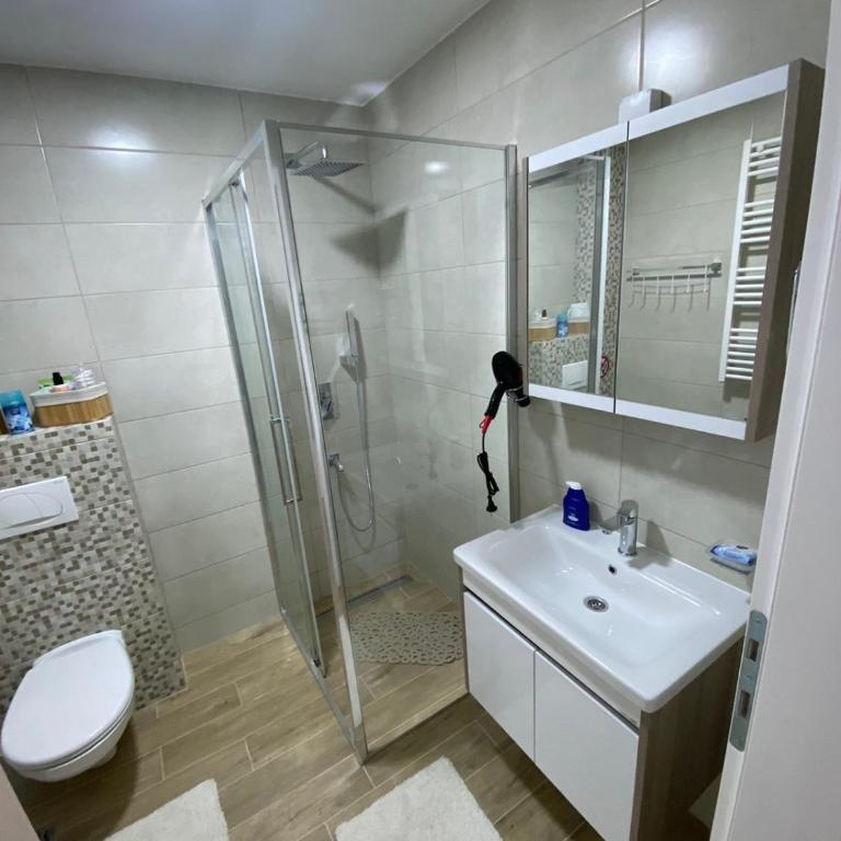 Апартман Милица - Apartman sa 1 Spavaćom Sobom - 11
