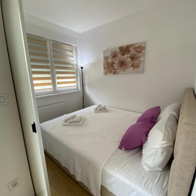 Апартман Милица - Apartman sa 1 Spavaćom Sobom - 4