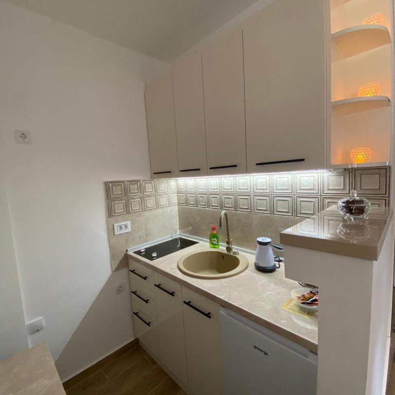 Апартман Милица - Apartman sa 1 Spavaćom Sobom - 8