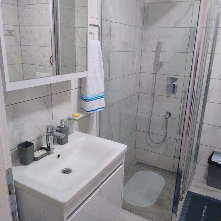 Апартман Љесковац - Apartman sa 1 Spavaćom Sobom - 4