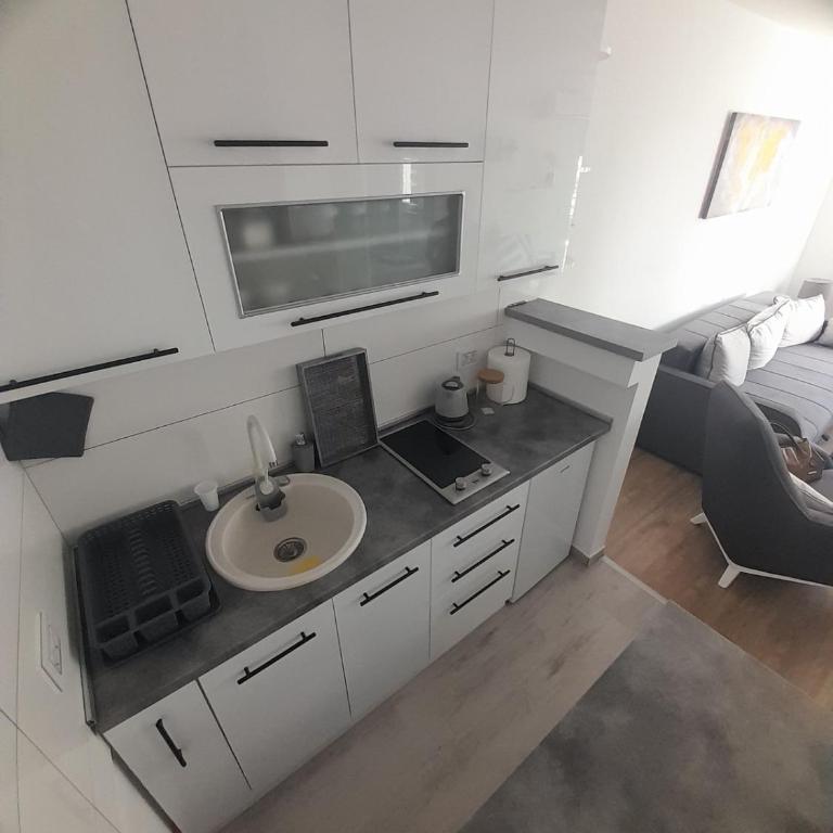 Апартман Љесковац - Apartman sa 1 Spavaćom Sobom - 14