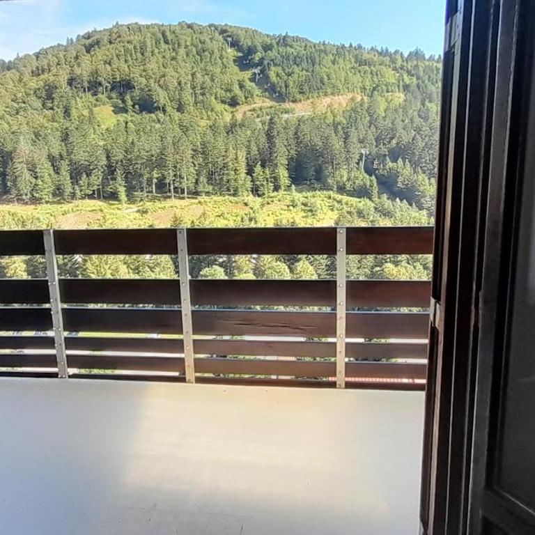 Appartement osca des brimbelles - Appartement 1 Chambre - 22