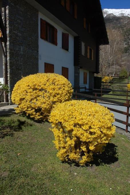 L'escalier - Appartamento con 1 Camera da Letto - 5