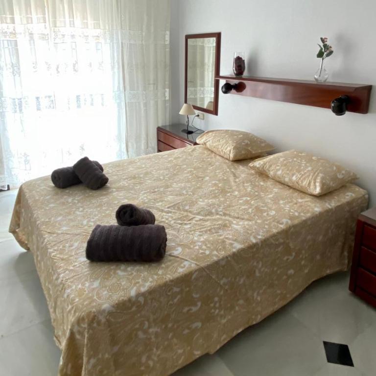 En playa, céntrico y acogedor - Apartamento de 3 dormitorios - 15