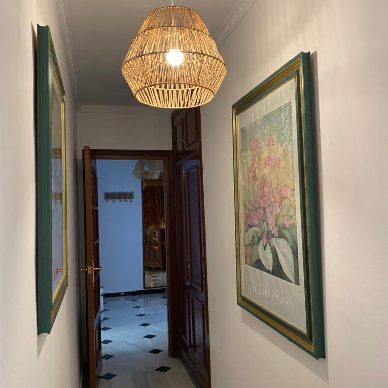 En playa, céntrico y acogedor - Apartamento de 3 dormitorios - 49