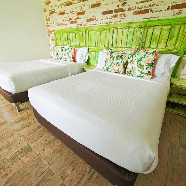 Zenith Bed & Breakfast - Habitación Doble con baño - 2 camas - 3