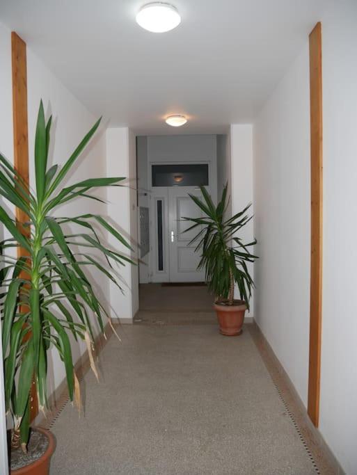 2 pièces 30m2 et Balcon vue montagne Villa Saint Paul WIFI Location à la semaine du samedi au samedi - Appartement 2 Chambres - 16