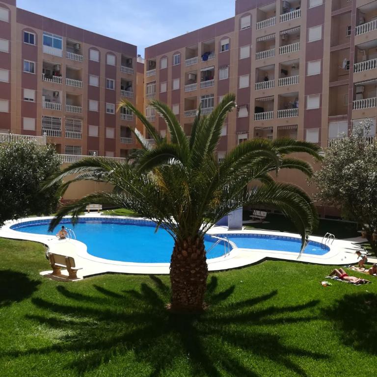 bonito apartamento en Torrevieja - Apartamento de 2 dormitorios - 1