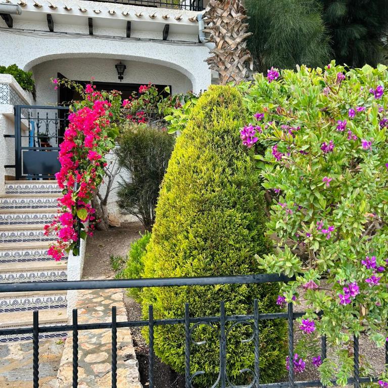 Casa Refa en Cabo Roig - Apartamento de 1 dormitorio - 20