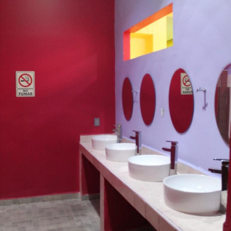 Hostal Amigo - Single Bed in Mixed Dormitory Room (4 Beds) - 5