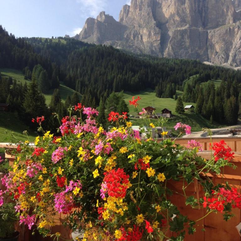 Wellness Hotel Lupo Bianco - Camera Executive Matrimoniale/Doppia con Letti Singoli con Balcone - 1