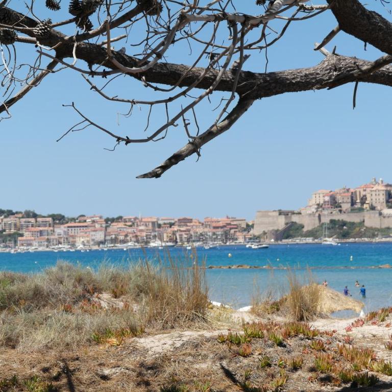 Residence Thalassa - Appartement 1 Chambre - 7