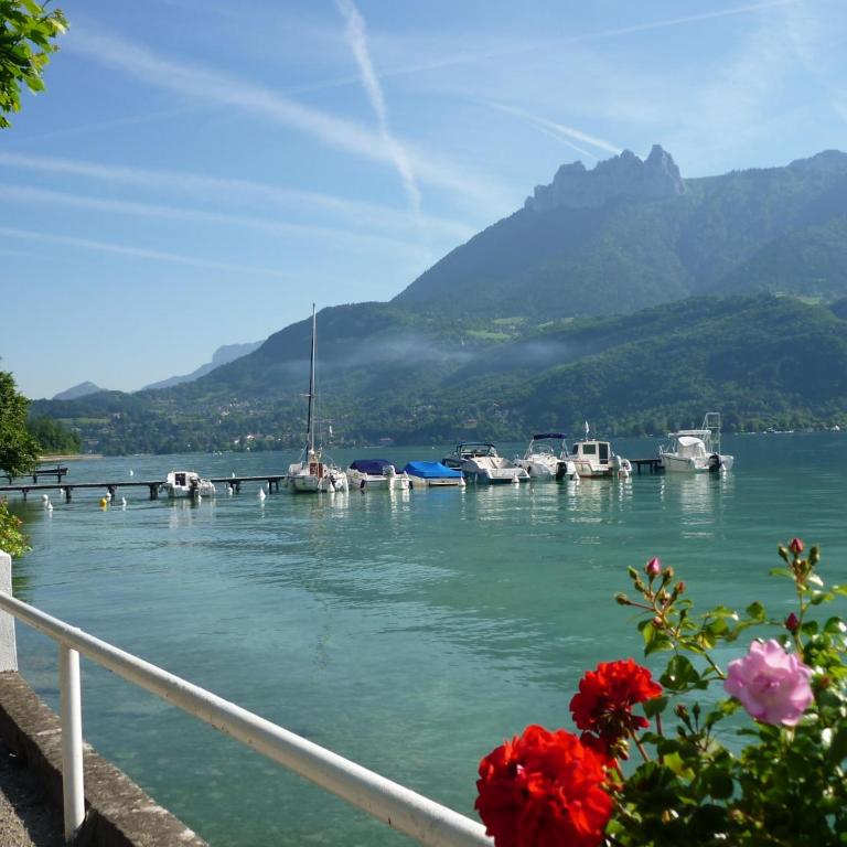 Le Coin des Cygnes, appartement face au lac d'Annecy avec plage privée - Appartement - Vue sur Lac - 2