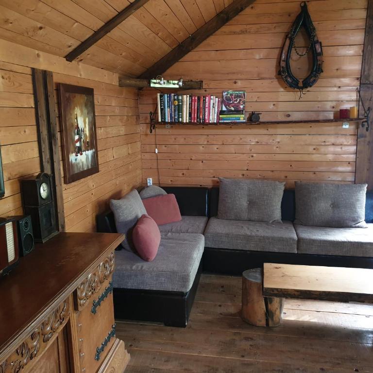 Log cabin - Kuća sa 1 Spavaćom Sobom - 25