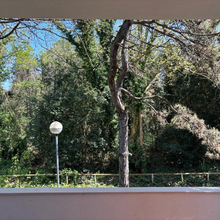 Villa Giorgio 2 [Mare e Pineta] - Appartamento con 2 Camere da Letto - 12