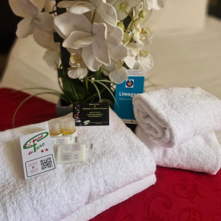 Hôtel du Parc Limoges & Restaurant "Le temps d'une pause" - Chambre Double - 1