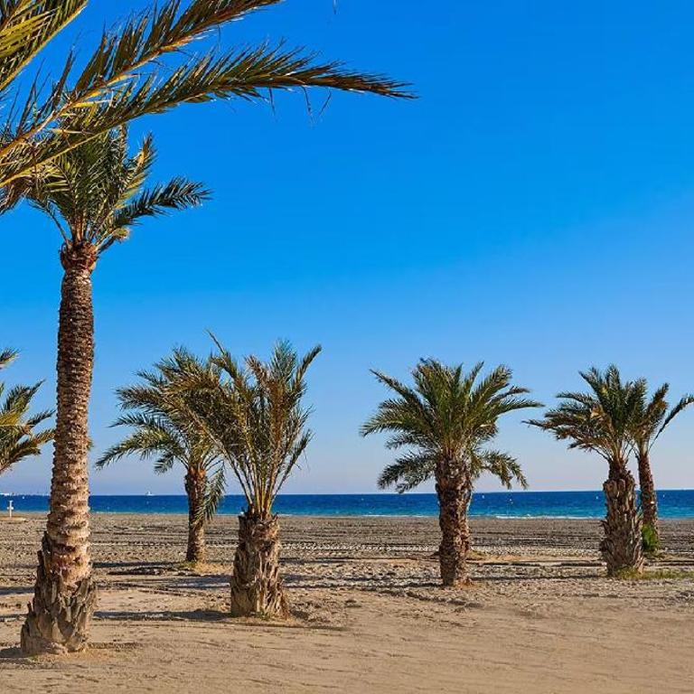Disfruta de Santa Pola, acogedor apartamento en el centro. - Apartamento de 1 dormitorio - 24