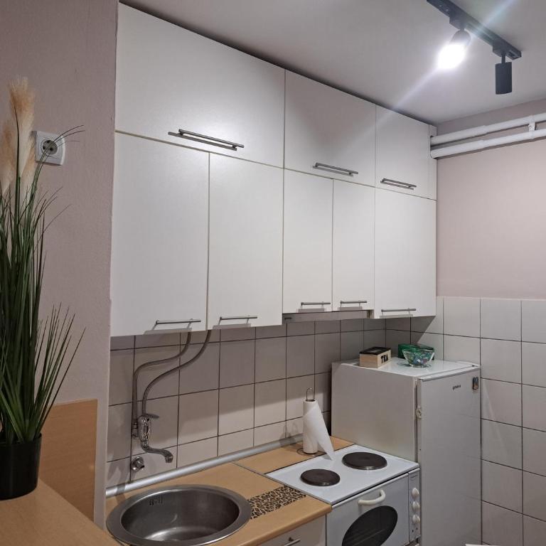 Apartman Marger - Apartman sa 1 Spavaćom Sobom - 15