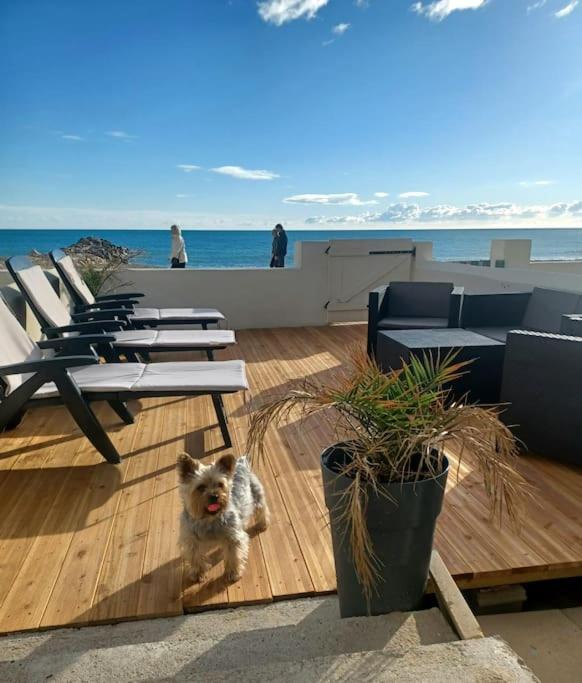LES PIEDS DANS L'EAU - Appartement 3 Chambres - 7