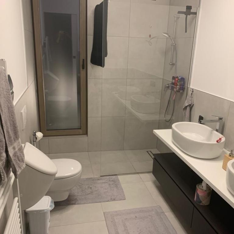 3 Zimmer Apartment am Gardasee mit traumhaften Seeblick und Pool in Torri del Benaco - Appartamento - 15