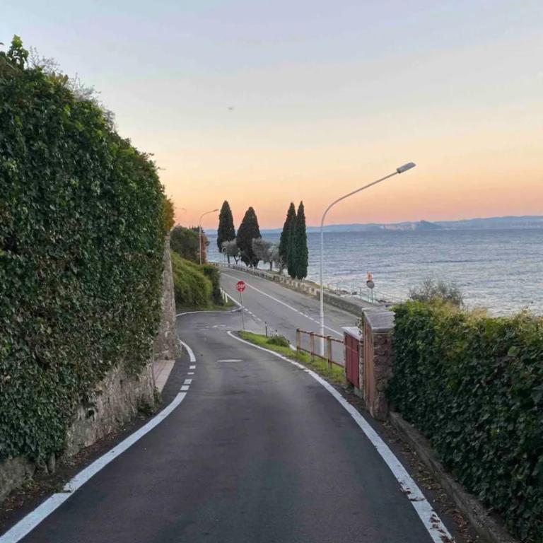 3 Zimmer Apartment am Gardasee mit traumhaften Seeblick und Pool in Torri del Benaco - Appartamento - 20