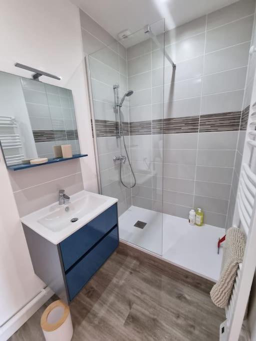 Appartement centre d'Orléans en bord de Loire - Apartment mit 1 Schlafzimmer - 7