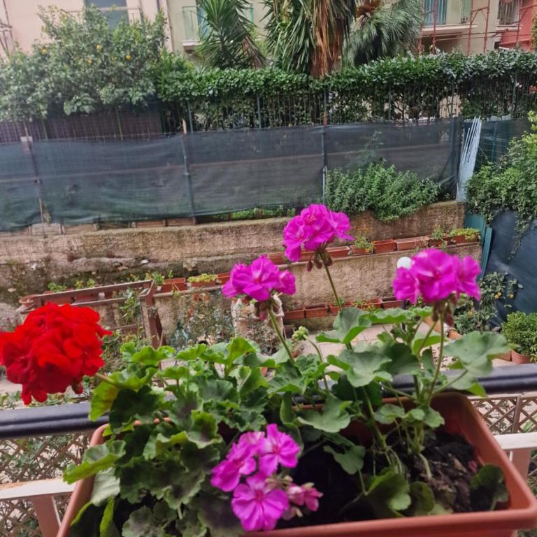 La perla bianca - Appartamento con 2 Camere da Letto - 45