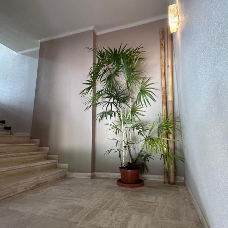 Premium Sea Front Apartment - Appartement 3 Chambres - 89
