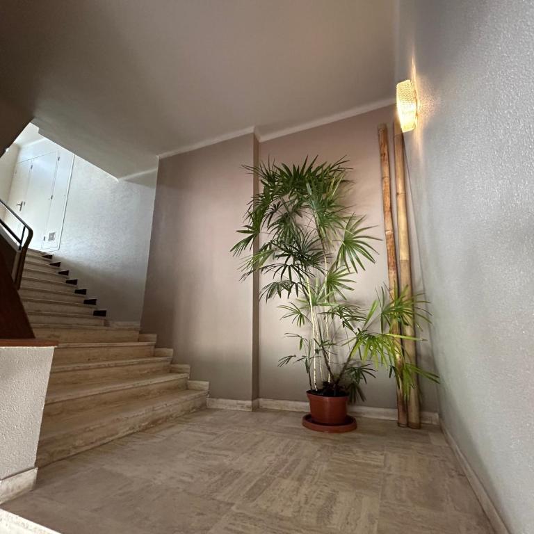 Premium Sea Front Apartment - Appartement 3 Chambres - 90