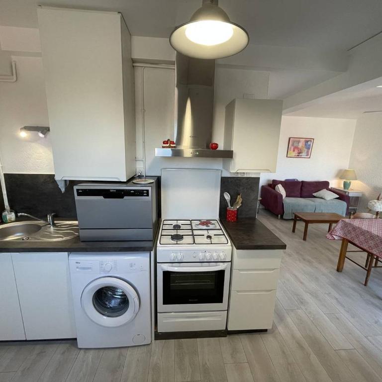 T2 cabine rénové, animaux admis, parking sécurisé, proche plage et port - Saint-Cyprien - FR-1-106-69 - Apartment - 16