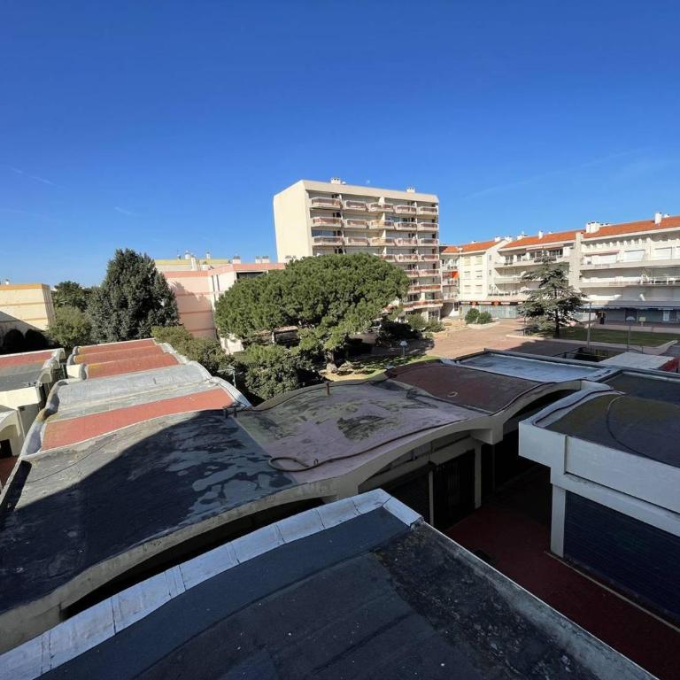 T2 cabine rénové, animaux admis, parking sécurisé, proche plage et port - Saint-Cyprien - FR-1-106-69 - Apartment - 17
