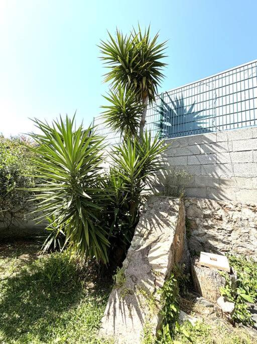 Villa 8 personnes ''La pergola'' - Villa - 15