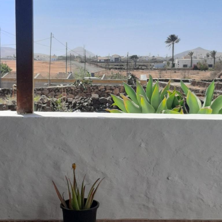 Sunset Terrace - Apartamento de 1 dormitorio - 30