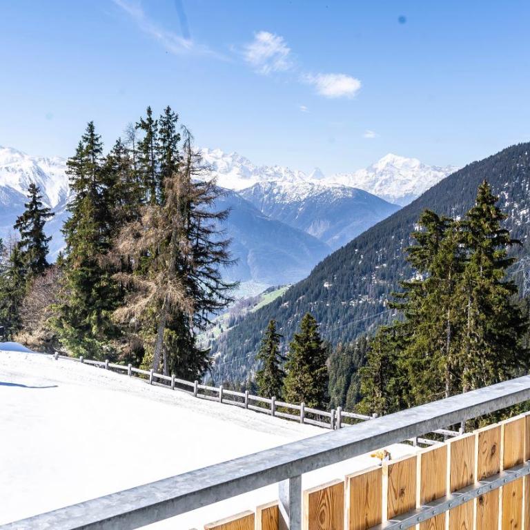 Haus Golmenegg, Riederalp - Apartment mit 2 Schlafzimmern - 16