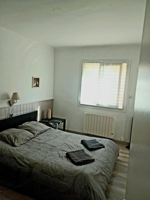 appartement 2 chambre, climatisation, plage à 50m - Appartement 2 Chambres - 9