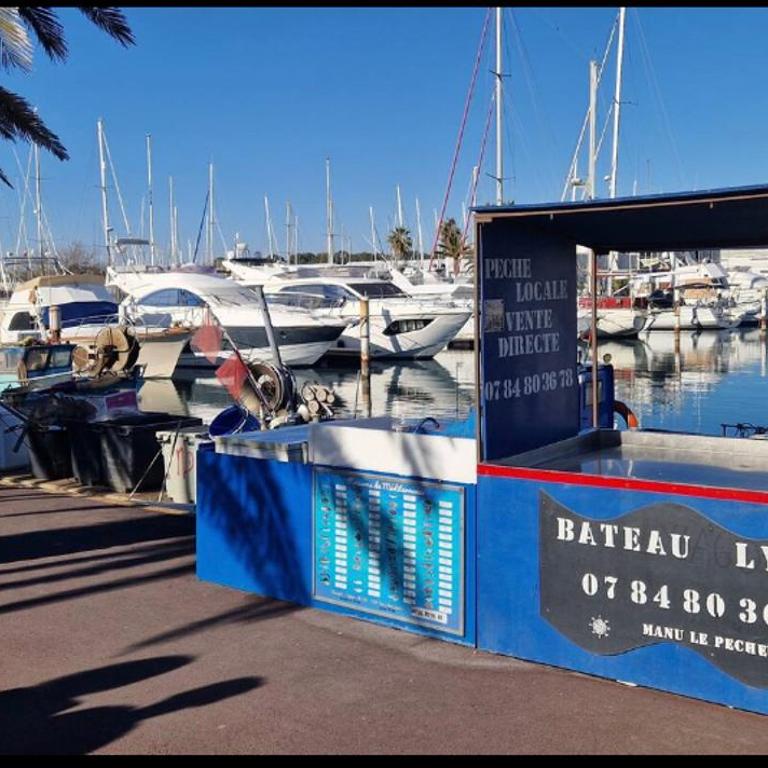 Studio Aquarium Canet - Appartamento con 1 Camera da Letto - 6