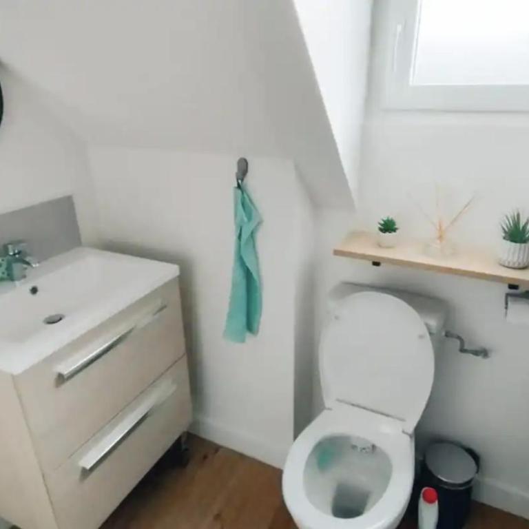 Tropical & cosy - Vieux Tours - One-Bedroom Apartment - 10