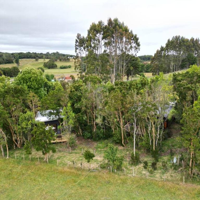 Cabaña en el bosque Chiloé - One-Bedroom House - 5