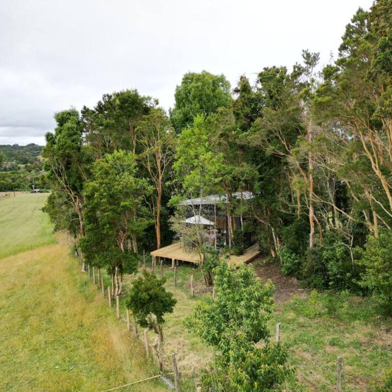 Cabaña en el bosque Chiloé - One-Bedroom House - 11
